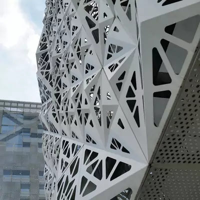 Three dimensional structure cladding project5