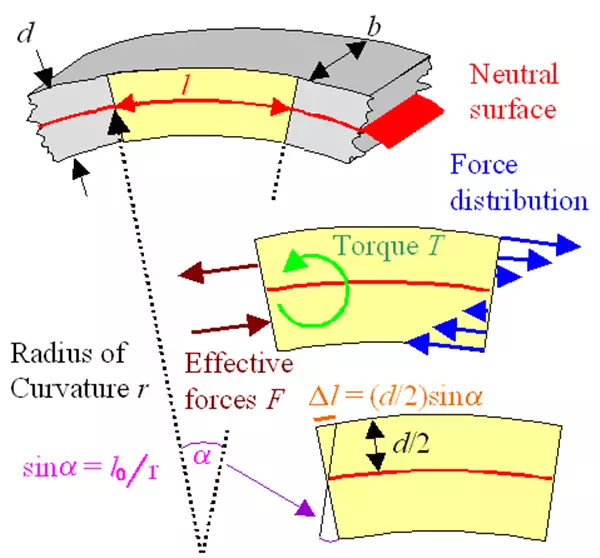 Neutral layer diagram