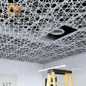 plain metal ceilings